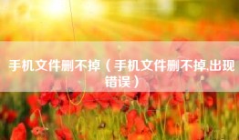 手机文件删不掉（手机文件删不掉,出现错误）