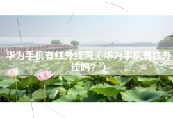 华为手机有红外线吗（华为手机有红外线吗？）