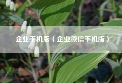 企业手机版（企业微信手机版）