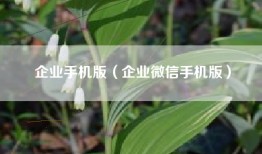 企业手机版(企业微信手机版)