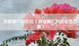 百度推广的价位（百度推广的价位怎么算）