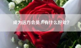 成为远方会员，有什么好处？