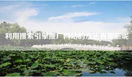 利用搜索引擎推广网站的方法有哪些呢