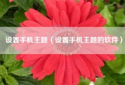 设置手机主题（设置手机主题的软件）