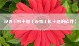 设置手机主题（设置手机主题的软件）