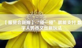 【服贸会新观】“碰一碰”就能支付 数字人民币又出新玩法