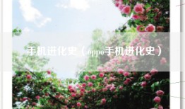 手机进化史（oppo手机进化史）
