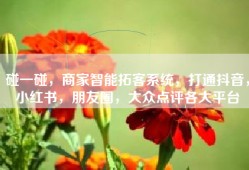碰一碰，商家智能拓客系统，打通抖音，小红书，朋友圈，大众点评各大平台
