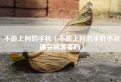 不能上网的手机（不能上网的手机小灵通会被黑客吗）