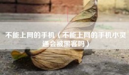 不能上网的手机（不能上网的手机小灵通会被黑客吗）