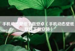 手机动态壁纸下载安卓（手机动态壁纸软件下载安装）
