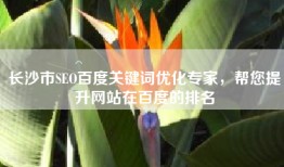 长沙市SEO百度关键词优化专家，帮您提升网站在百度的排名