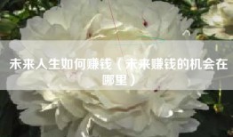 未来人生如何赚钱（未来赚钱的机会在哪里）