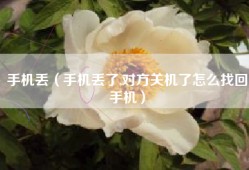 手机丢（手机丢了,对方关机了怎么找回手机）