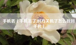 手机丢(手机丢了,对方关机了怎么找回手机)