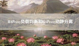 HAProxy负载均衡和HAProxy动静分离