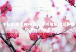 手机屏幕出现横线（手机屏幕出现横线条纹什么原因）