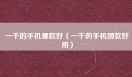 一千的手机哪款好（一千的手机哪款好用）