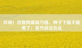 炸锅！百度网盘磁力链、种子下载不能用了：官方说法在此