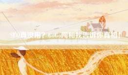 SEO真没用？GoGo闯和我告诉你真相！