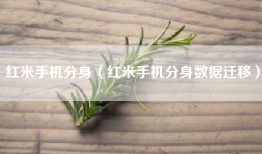 红米手机分身（红米手机分身数据迁移）