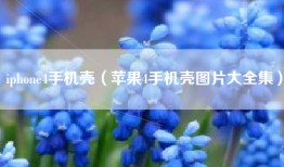 iphone4手机壳（苹果4手机壳图片大全集）