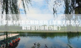 苹果手机怎么解除密码（苹果手机怎么解除密码锁屏功能）
