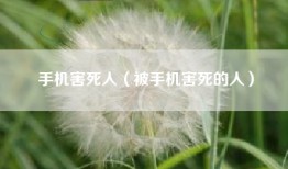 手机害死人（被手机害死的人）
