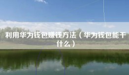利用华为钱包赚钱方法（华为钱包能干什么）