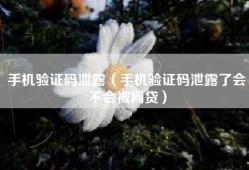 手机验证码泄露（手机验证码泄露了会不会被网贷）