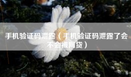 手机验证码泄露（手机验证码泄露了会不会被网贷）