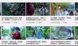 李子柒顶100个孔子学院？央媒密集表态背后这点也是关键