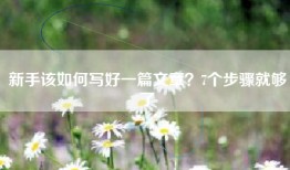 新手该如何写好一篇文章？7个步骤就够了