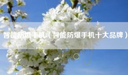 智能防爆手机（智能防爆手机十大品牌）