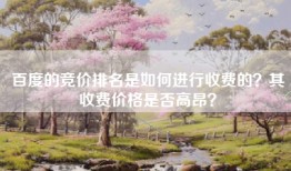 百度的竞价排名是如何进行收费的？其收费价格是否高昂？