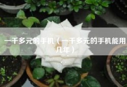 一千多元的手机（一千多元的手机能用几年）