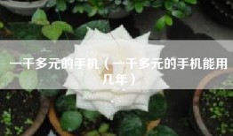 一千多元的手机（一千多元的手机能用几年）