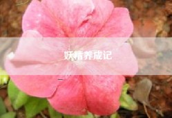 妖精养成记