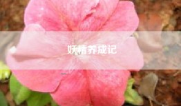 妖精养成记