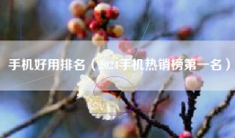 手机好用排名(2024手机热销榜第一名)