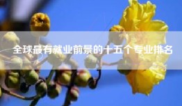 全球最有就业前景的十五个专业排名