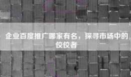企业百度推广哪家有名，探寻市场中的佼佼者