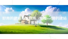 好用的建站系统软件_(黑帽seo)用的建站系统