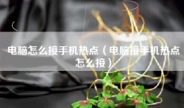 电脑怎么接手机热点（电脑接手机热点怎么接）