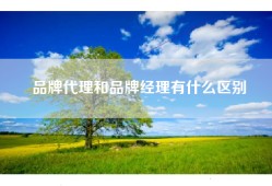 品牌代理和品牌经理有什么区别