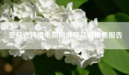 亚马逊跨境电商捆绑商品的销售报告
