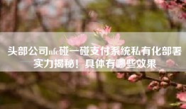 头部公司nfc碰一碰支付系统私有化部署实力揭秘！具体有哪些效果