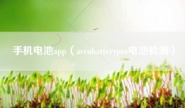 手机电池app（accubatterypro电池检测）