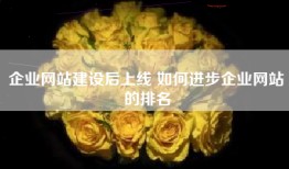 企业网站建设后上线 如何进步企业网站的排名