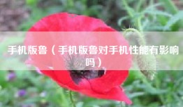 手机版鲁（手机版鲁对手机性能有影响吗）